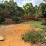 WhatsApp Image 2026-02-10 at 7.53.37 PM (1)